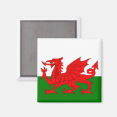 Wales vlag Welsh red dragon Magneet (Voorkant / Achterkant)