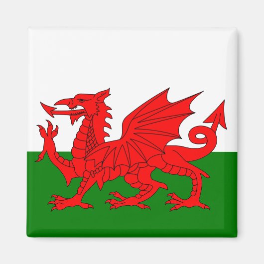 Wales vlag Welsh red dragon Magneet (Voorkant)