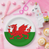 Wales vlag Welsh red dragon Papieren Bordje (Feest)