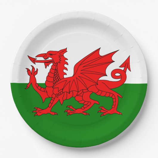 Wales vlag Welsh red dragon Papieren Bordje (Voorkant)