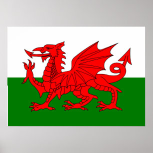 Wales vlag Welsh red dragon Poster