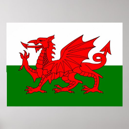 Wales vlag Welsh red dragon Poster (Voorkant)