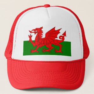 Wales vlag Welsh red dragon Trucker Pet