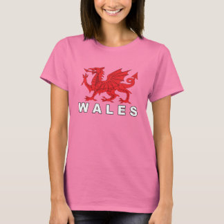 WALES - Vlagdraak T-shirt