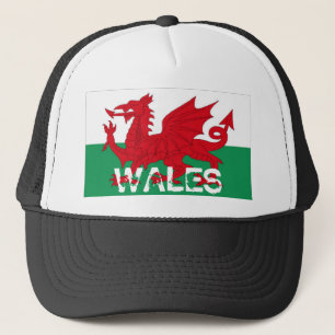 Wales welsh cymru flag souvenir pet