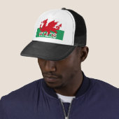 Wales welsh cymru flag souvenir pet (In situ)