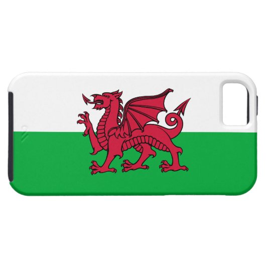 Wales - Welsh Flag Dragon Case-Mate iPhone Case (Achterkant Horizontaal)