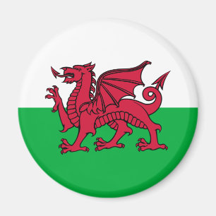 Wales - Welsh Flag Magneet