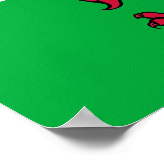 Wales - Welsh Flag Poster (Hoek)