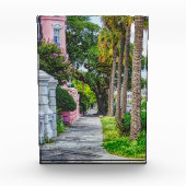 Walk Along Rainbow Row Fotoblokken (Voorkant)