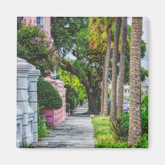 Walk Along Rainbow Row Magneet