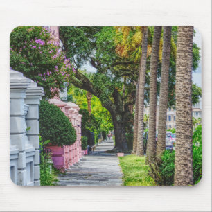 Walk Along Rainbow Row Muismat