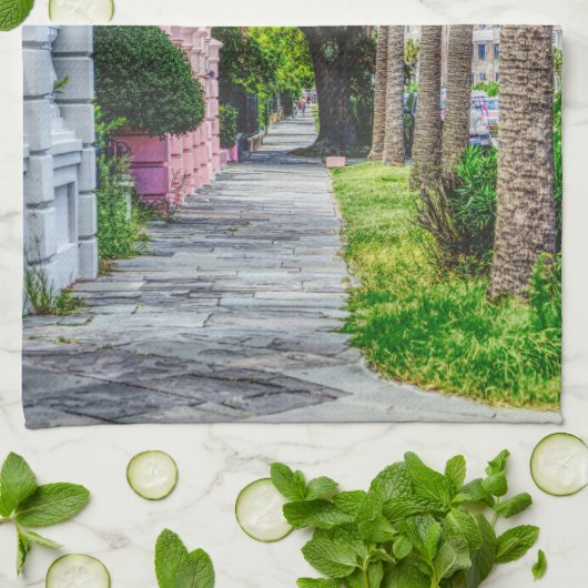 Walk Along Rainbow Row Theedoek (Gevouwen)