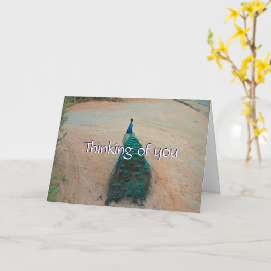 Walk Away Peacock - Denken aan je Kaart (Gele Bloem)