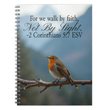 Walk by Faith Not by Sight 2 Corinthians 5:7