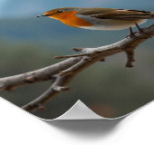 Walk by Faith Not by Sight 2 Corinthians 5:7 Poster (Hoek)