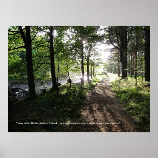 Walk nabij de River-Happy Valley, Northumberland Poster (Voorkant)