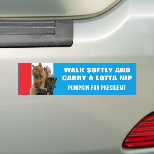 Walk Softly and Carry Nip Pumpkin for President Bumpersticker (Op auto)