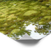 Walk the Path Poster (Hoek)