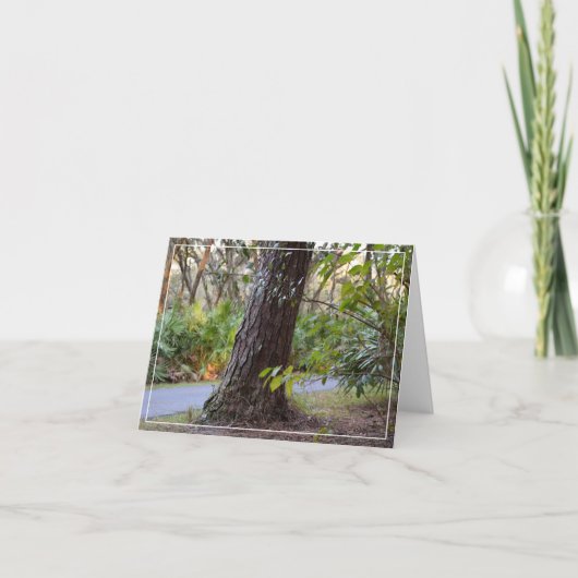 Walk Through Lettuce Lake Notitiekaartje (Voorkant)