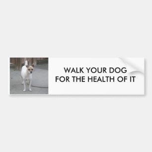 WALK UW DOG BUMPERSTICKER