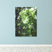 Walken in het bos, Chester, South Carolina Canvas Afdruk (Insitu (Houten vloer))