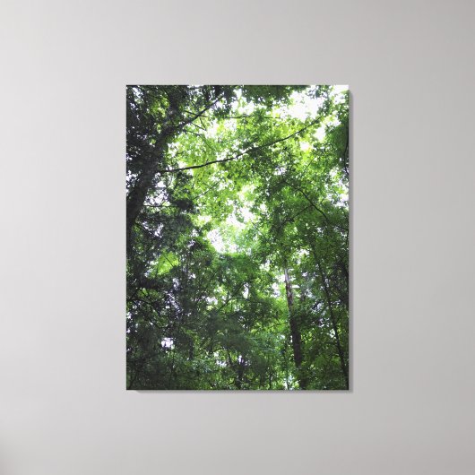 Walken in het bos, Chester, South Carolina Canvas Afdruk (Voorkant)