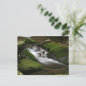 Walker Creek Briefkaart (Staand voorkant)