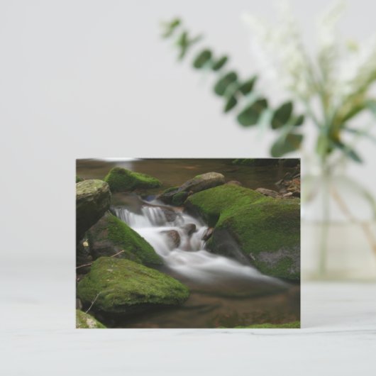 Walker Creek Briefkaart (Staand voorkant)