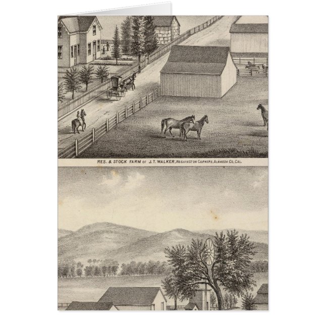 Walker, Knittel-woningen, boerderijen (Voorkant)