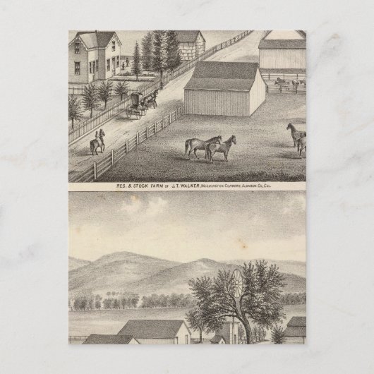 Walker, Knittel-woningen, boerderijen Briefkaart (Voorkant)