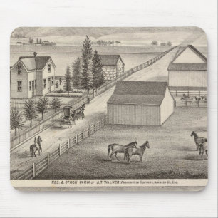 Walker, Knittel-woningen, boerderijen Muismat