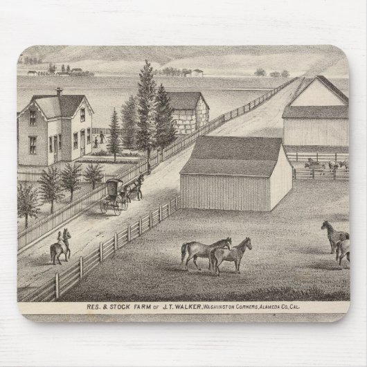 Walker, Knittel-woningen, boerderijen Muismat (Voorkant)