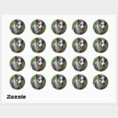Walker Stickers (Vel)