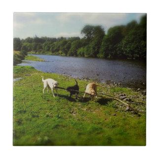 Walkies Tegeltje