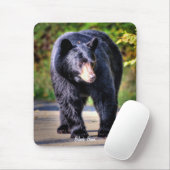 Walking Black Beer Wildlife Afbeelding voor dieren Muismat (Met muis)