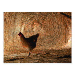 "Walking" - Digitaal verbeterde foto van Chicken & Afdruk