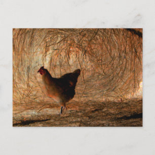 "Walking" - Digitaal verbeterde foto van Chicken & Briefkaart