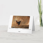 "Walking" - Digitaal verbeterde foto van Chicken & Kaart (Achterkant)