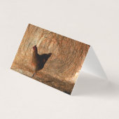 "Walking" - Digitaal verbeterde foto van Chicken & Kaart (Achterkant)