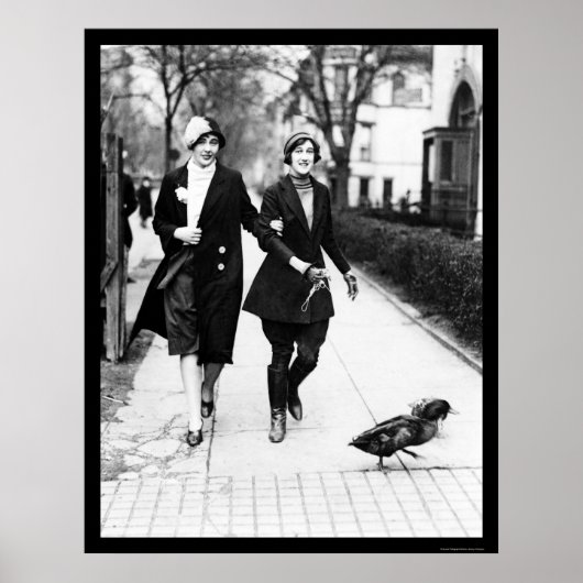 Walking Ducks in Washington, DC 1926 Poster (Voorkant)