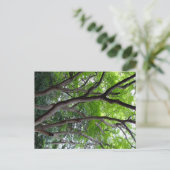 Walking endlessly through the deep forest. briefkaart (Staand voorkant)
