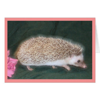 Walking Hedgel
