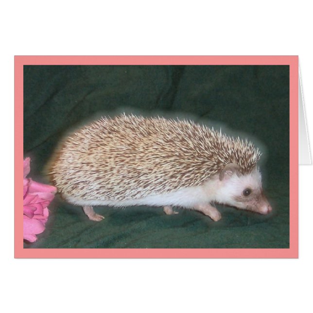 Walking Hedgel (Voorkant Horizontaal)