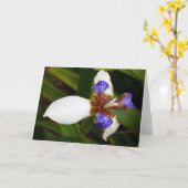 'Walking Iris'. Wenskaart Kaart (Gele Bloem)