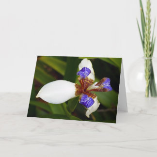 'Walking Iris'. Wenskaart Kaart