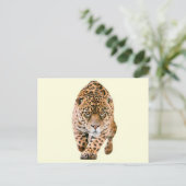 Walking Jaguar Eyes Briefkaart (Staand voorkant)