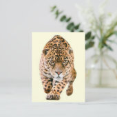 Walking Jaguar Eyes Briefkaart (Staand voorkant)