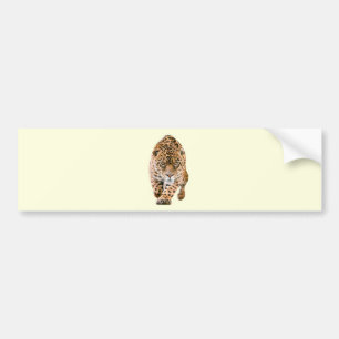 Walking Jaguar Eyes Bumpersticker
