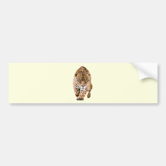 Walking Jaguar Eyes Bumpersticker (Voorkant)